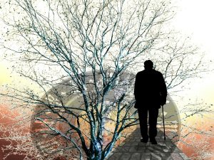 Elderly man and tree - hypnotherapy training for healthcare professionals